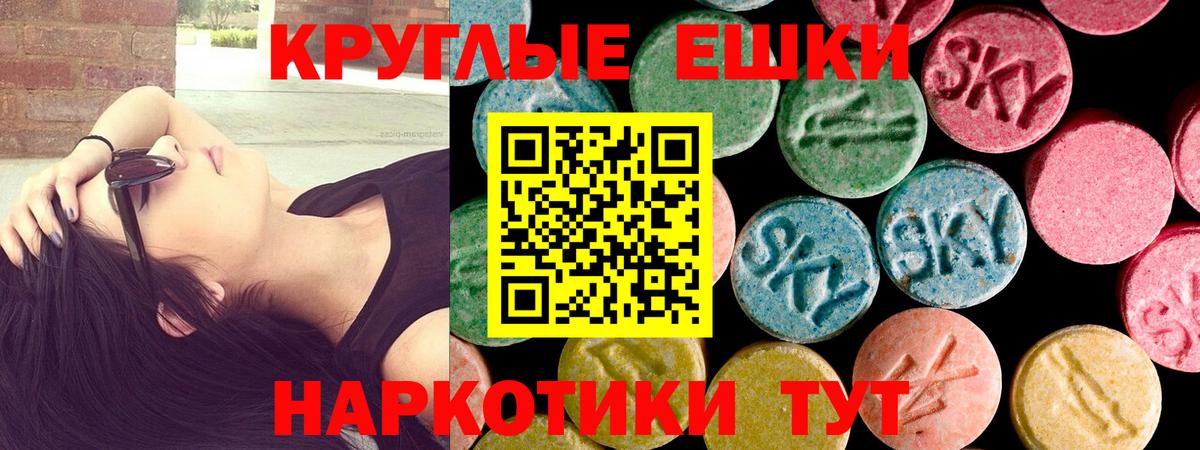 ЭКСТАЗИ Philipp Plein  Вход с VPN  Экстази  Славгород 