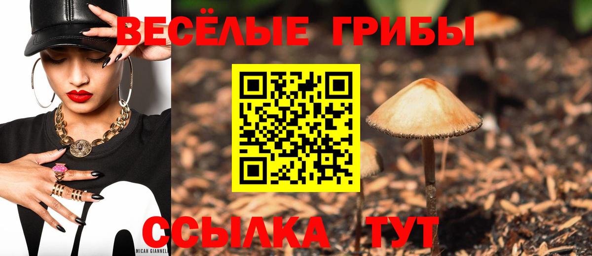 Псилоцибиновые грибы MAGIC MUSHROOMS Славгород