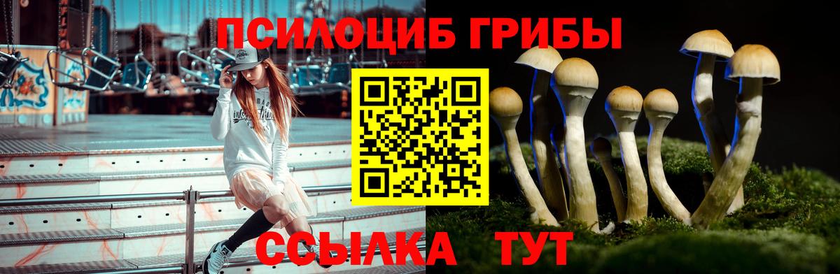 Псилоцибиновые грибы MAGIC MUSHROOMS  Вход с VPN  Славгород  Галлюциногенные грибы Psilocybine cubensis 